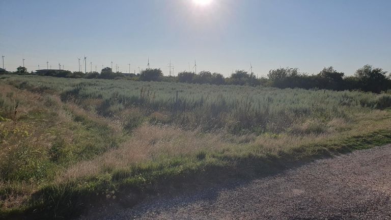 2.Landwirtschaftlicher Grund