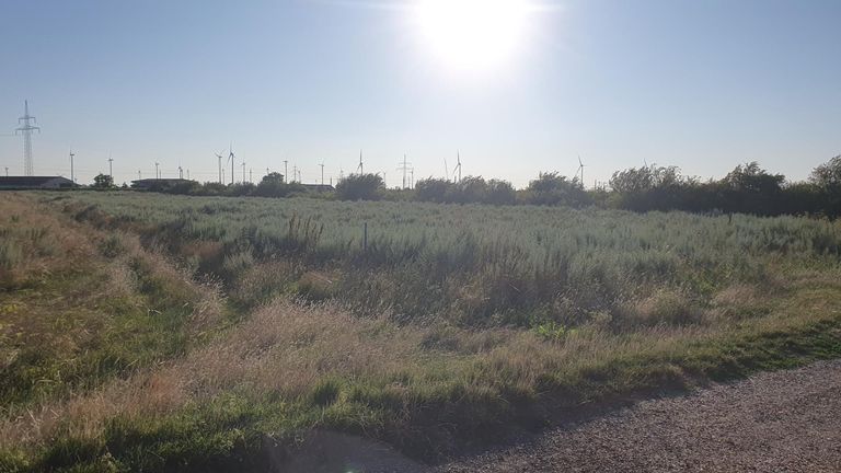 3. Landwirtschaftlicher Grund