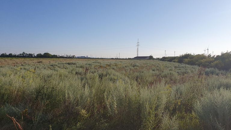 1. Landwirtschaftlicher Grund