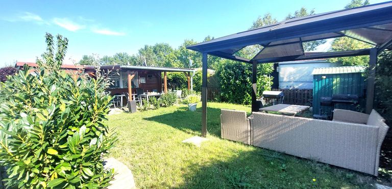 Blick in den Garten