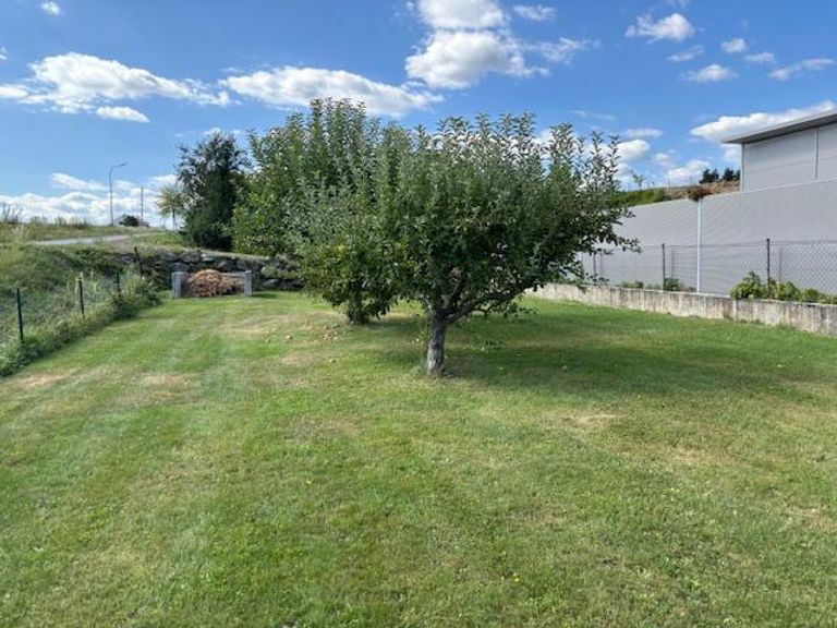 Obstgarten