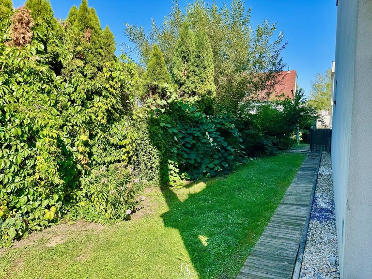 Garten - Seitenbereich