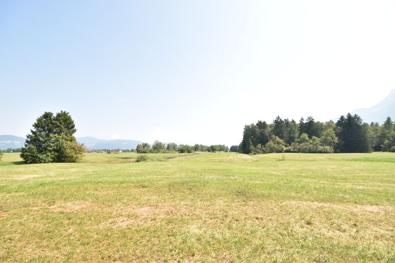 Ansicht - Landwirtschaftliches Anwesen in Alleinlage mit unverbaubarem Gebirgsblick Kauf Salzburg