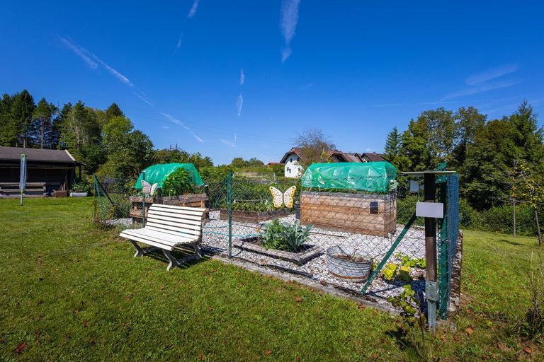 Kleiner Gemüsegarten