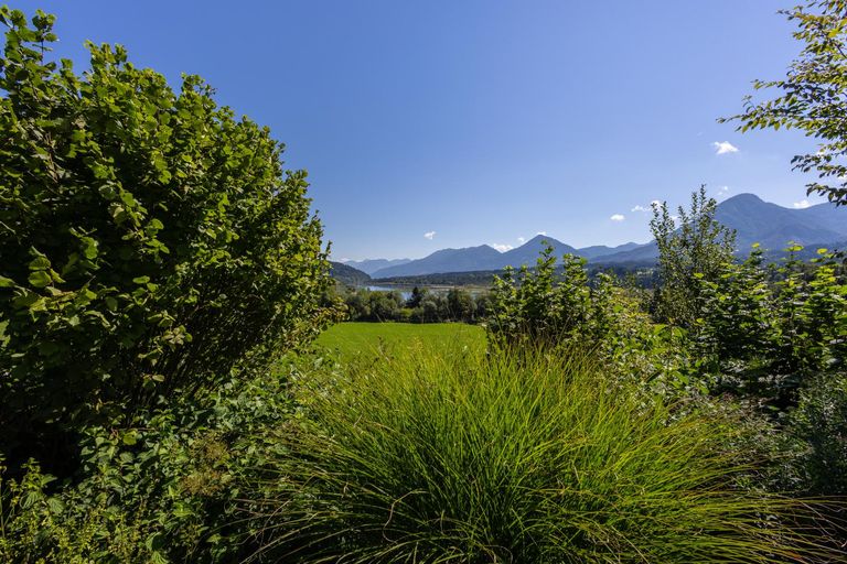 Draublick vom Garten