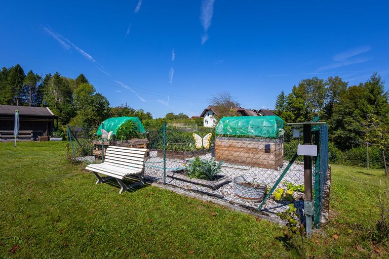 Kleiner Gemüsegarten