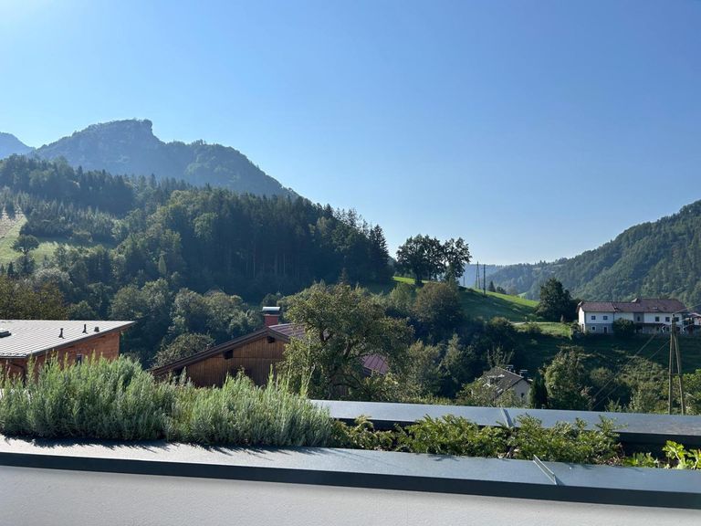 PHOTO-2024-09-05-08-00-37 (1)