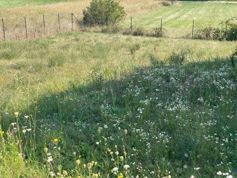 Grundstück in Neusiedl am See