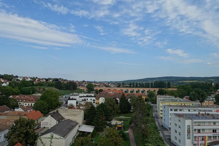 Blick ins Grüne