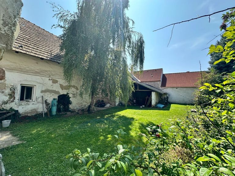 Garten vorne