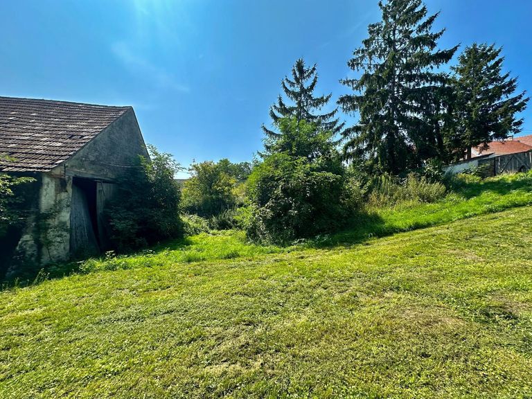 Garten hinten