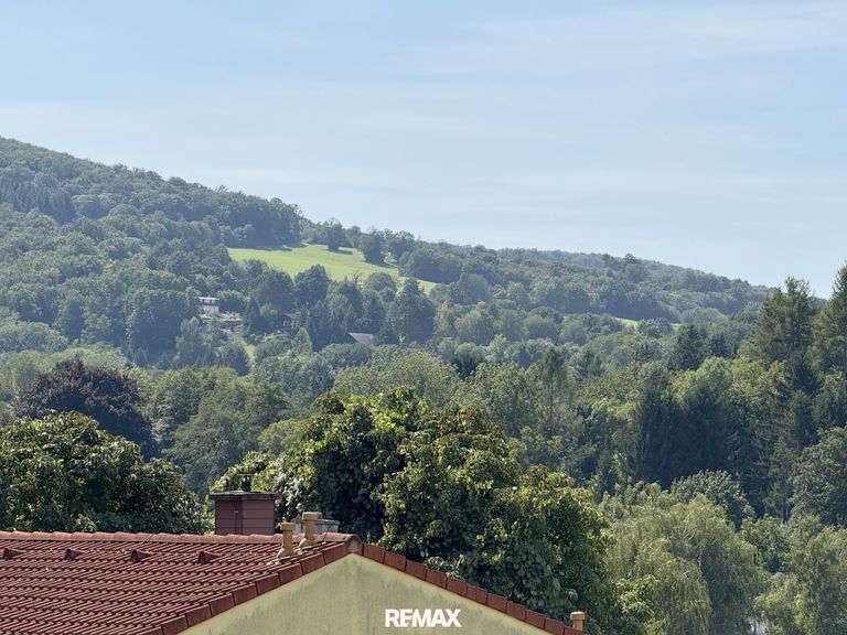 Ausblick