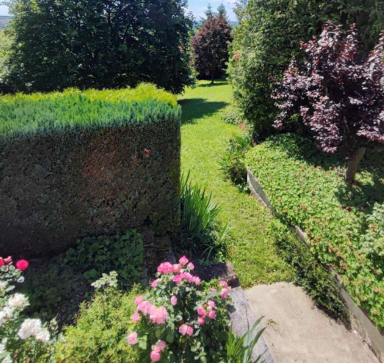 Blick in den parkähnlichen Garten