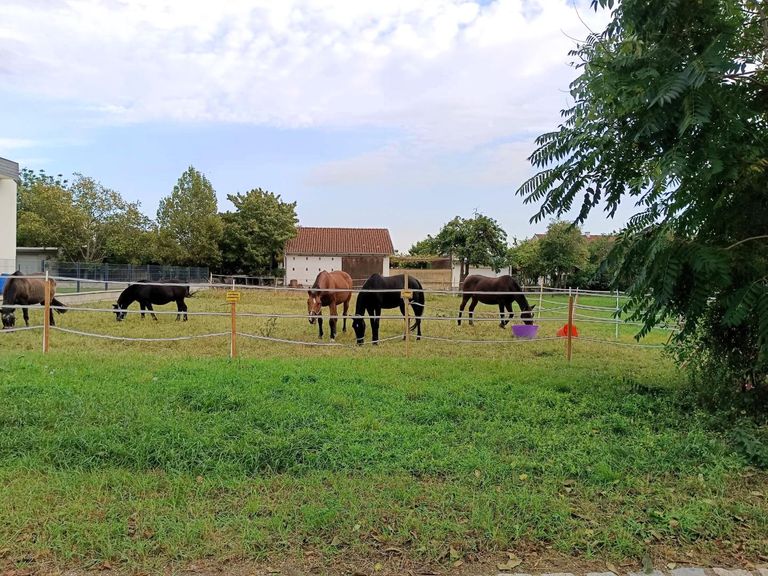Grundstück Amselweg