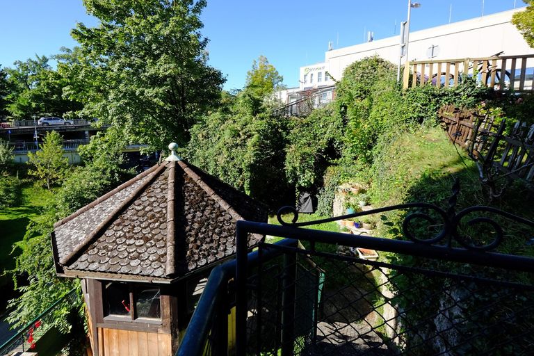 Westseitiger Gartenbereich