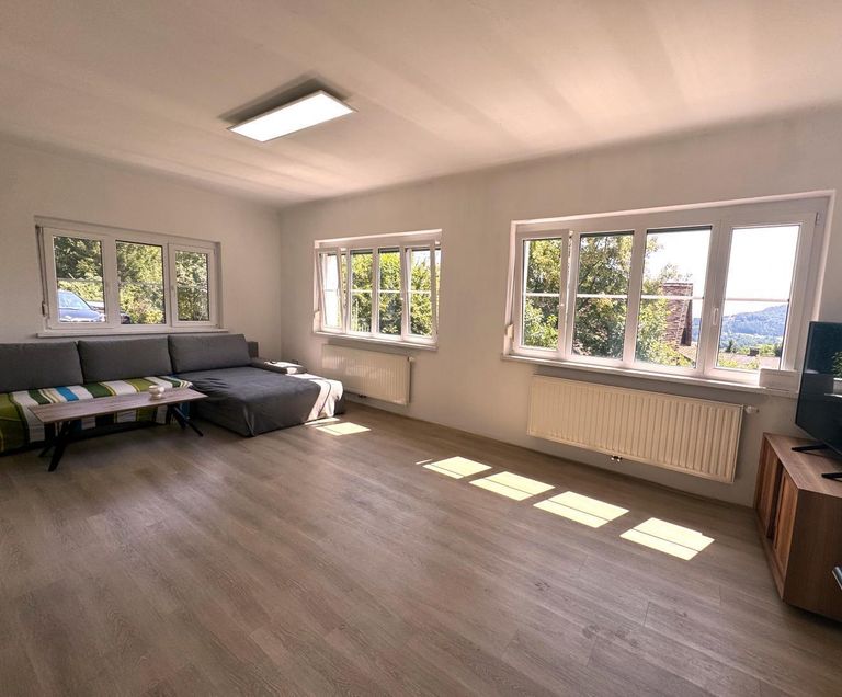 Wohnzimmer Wohnung 1