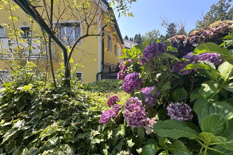 Blumen