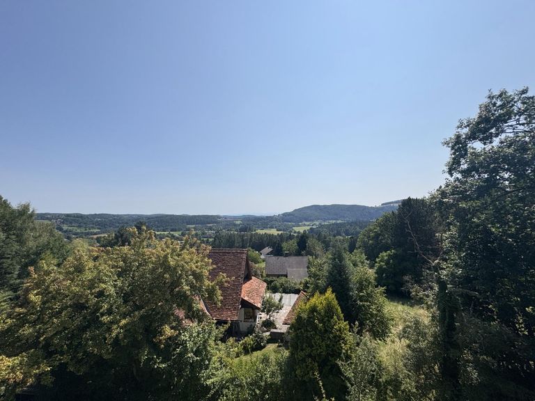 Ausblick