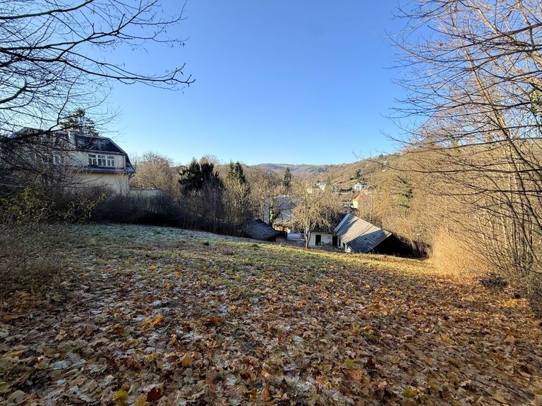 Grundstück mit Altbestand