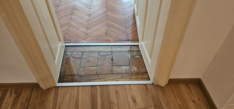 Blick in den Urbestand