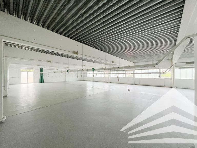 Produktionshalle / Lager