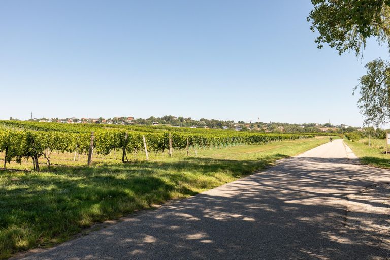 Umgebung - Radfahrweg