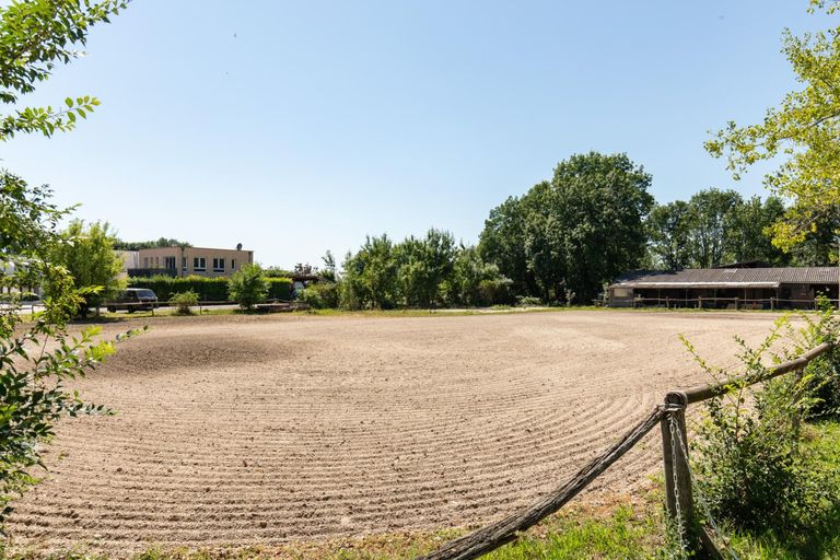 Umgebung - Reitbetrieb