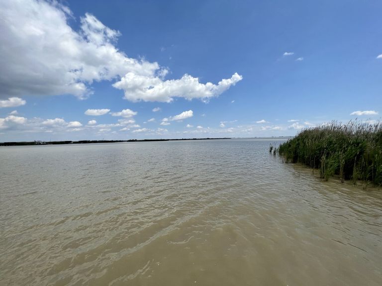 Blick vom Steg der Hütte auf den offen See