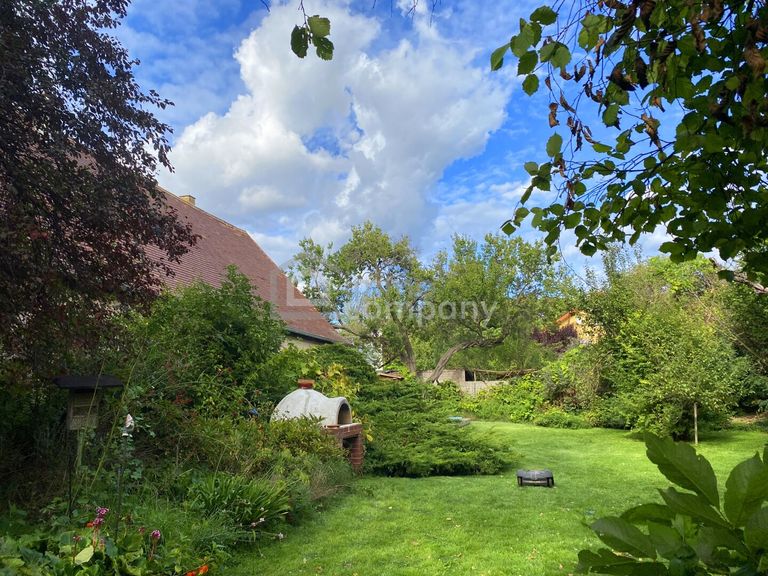 Gartengrill-Pizzaofen