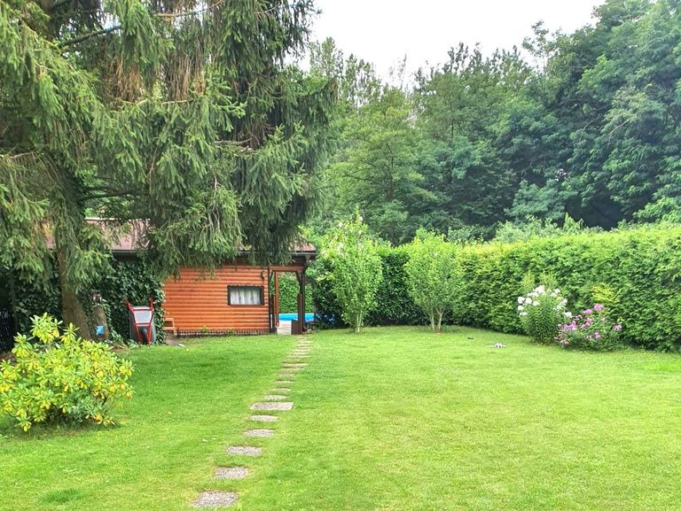 Garten im Sommer
