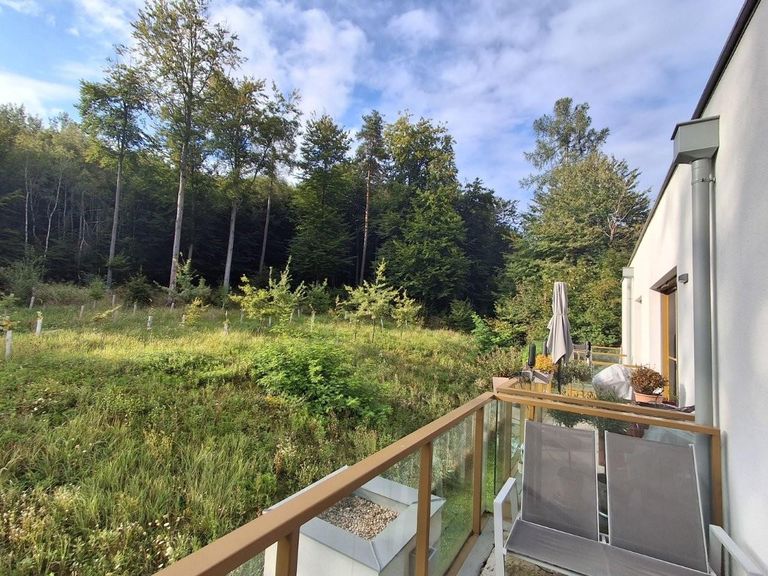 12 Balkon mit Waldblick ETW 3004