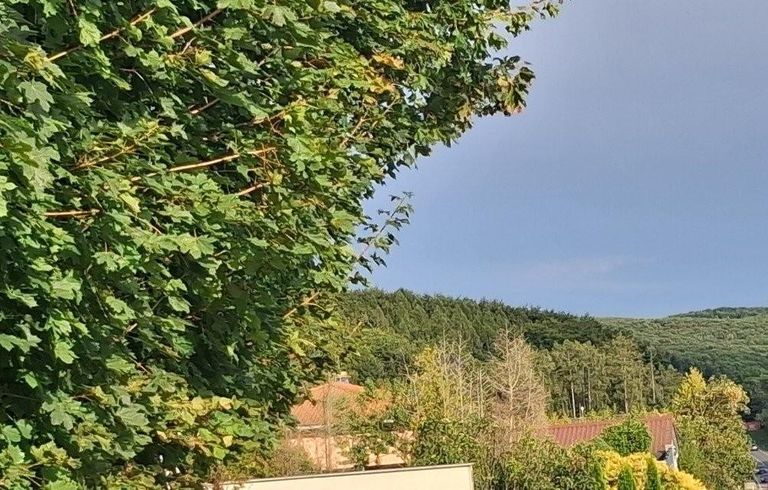 30 Wienerwald ETW 3004