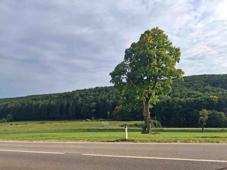 28 Wienerwald Umgebung