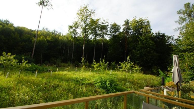 18 Balkon Waldblick ETW 3004