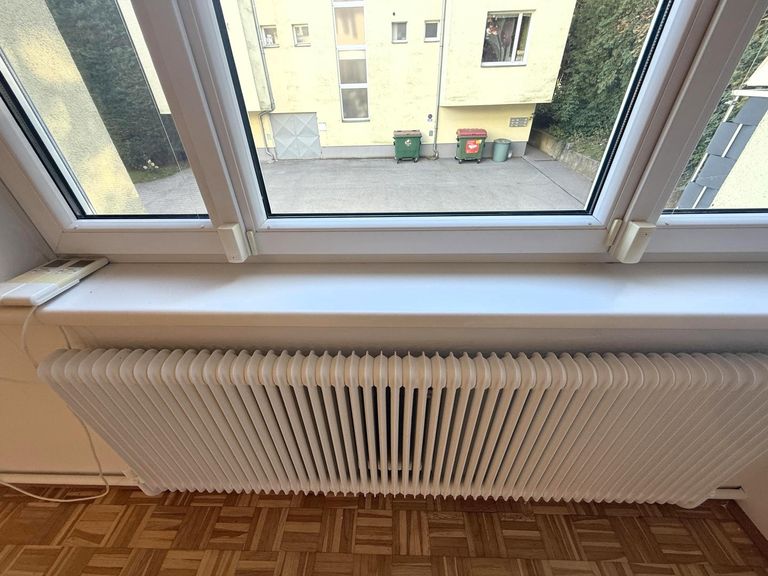 Wohnzimmerdetail / Insektengitter, Rolläden, Alarm