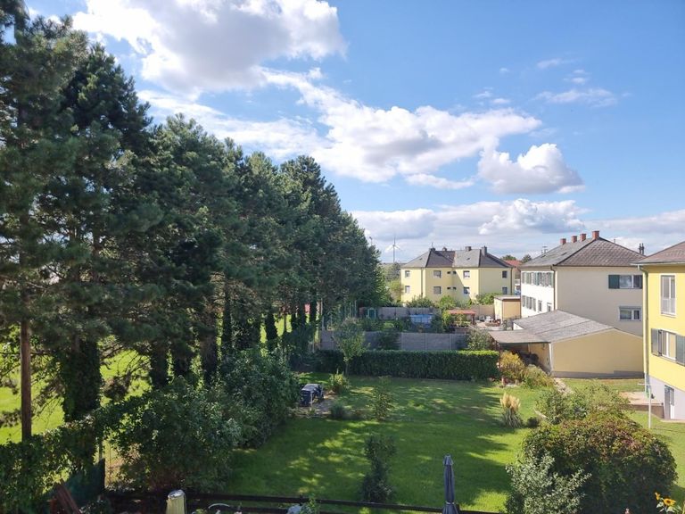 ETW 2230 06 Grünblick