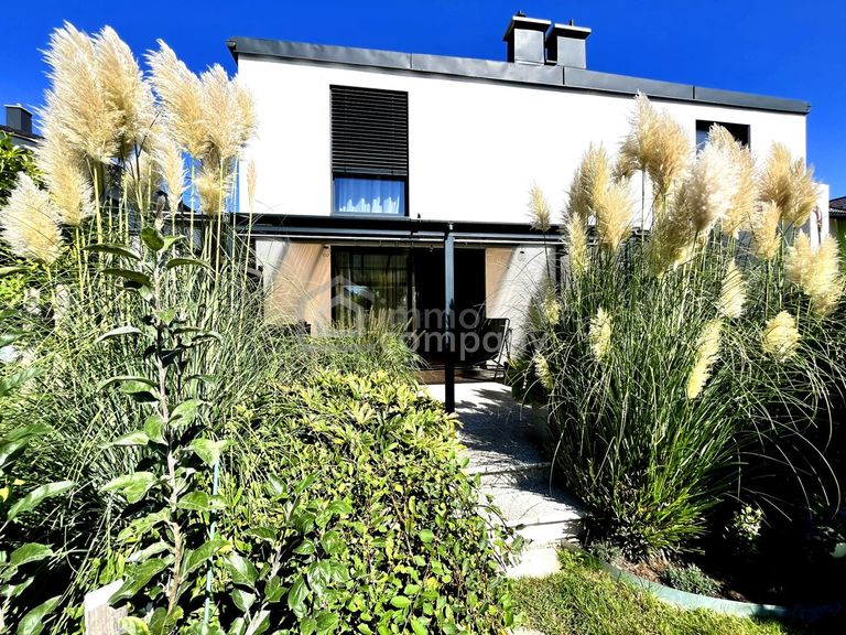 Garten mit Blick aufs Haus