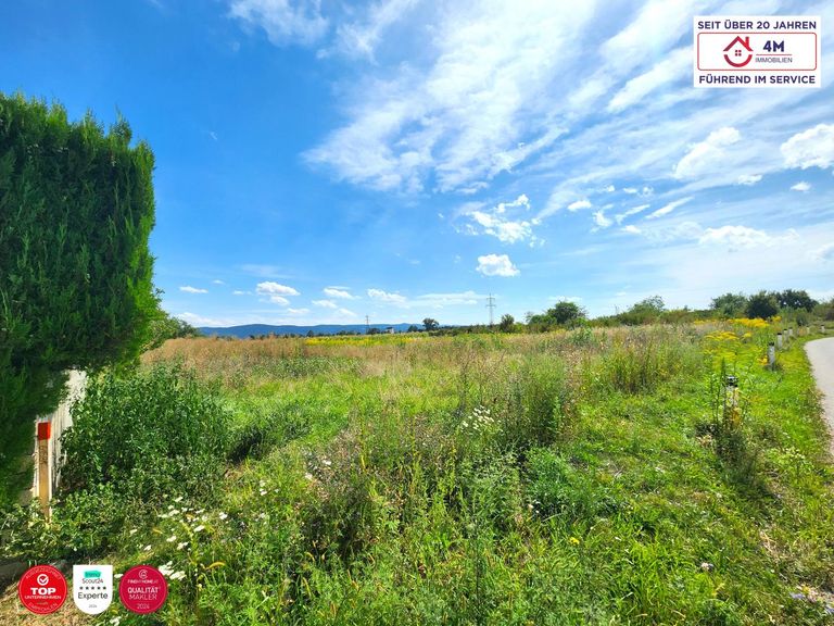 schräge Seitenansicht rechts