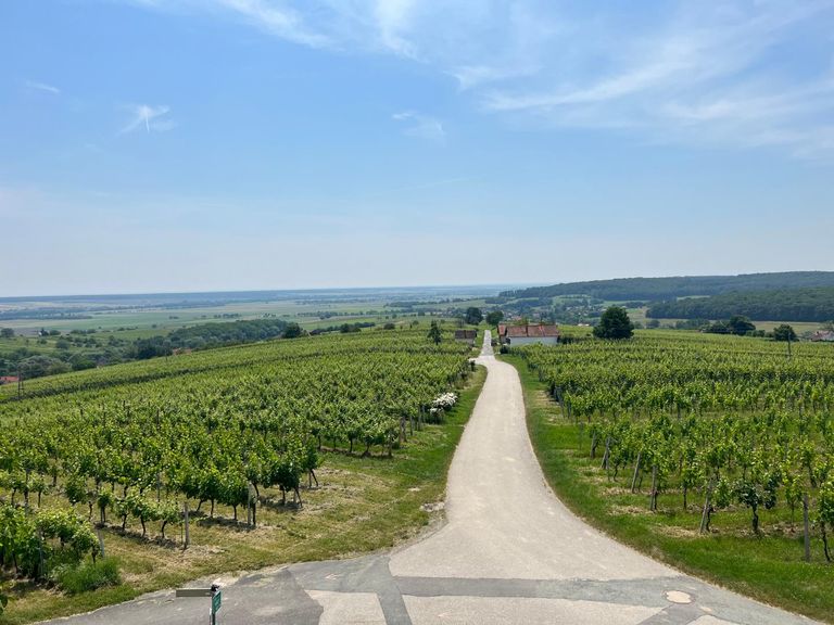 Der WEG ist das ZIEL