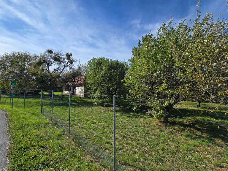 eingezäunter Obst- und Gemüsegarten