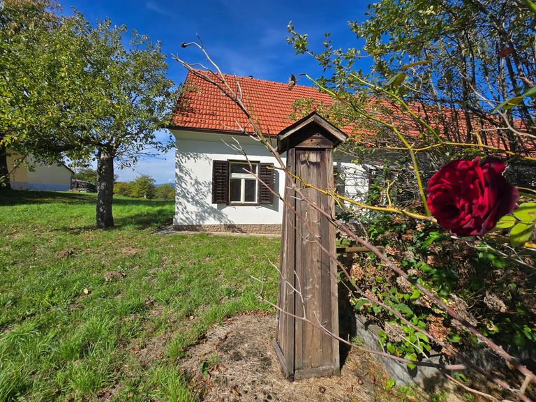 Nutzwasserbrunnen vor dem Haus