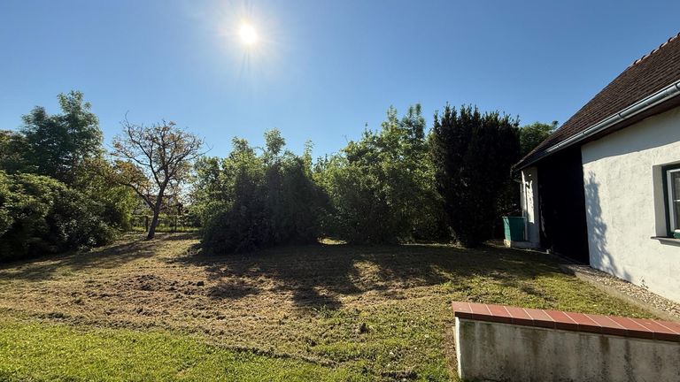 Sonnenschein