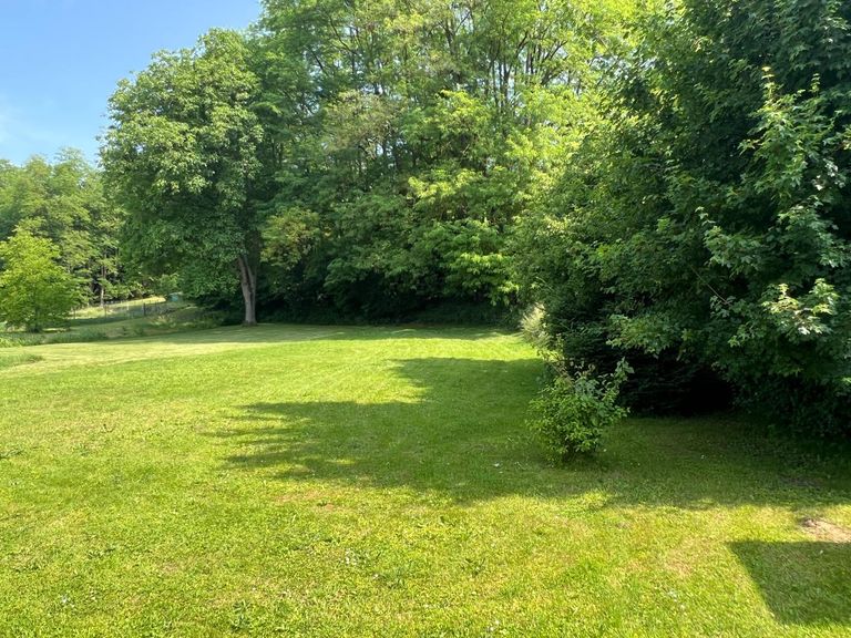 hinterer Gartenbereich