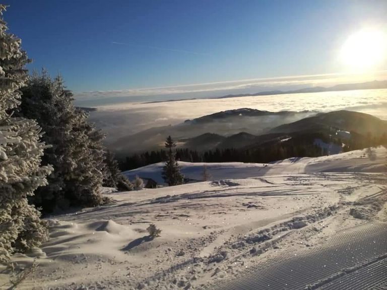 05. Wohnbaugrund 9462 Bad St. Leonhard