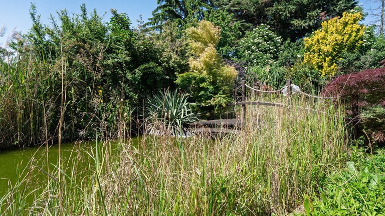 Hinterer Teil Garten