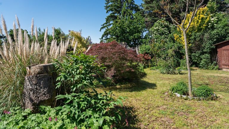 Hinterer Teil Garten