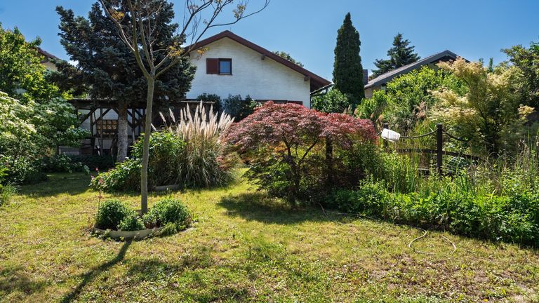 Hinterer Teil Garten