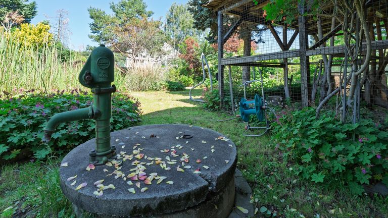 Hinterer Teil Garten