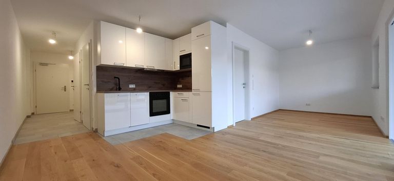 Neubauwohnung Mondsee zu vermieten