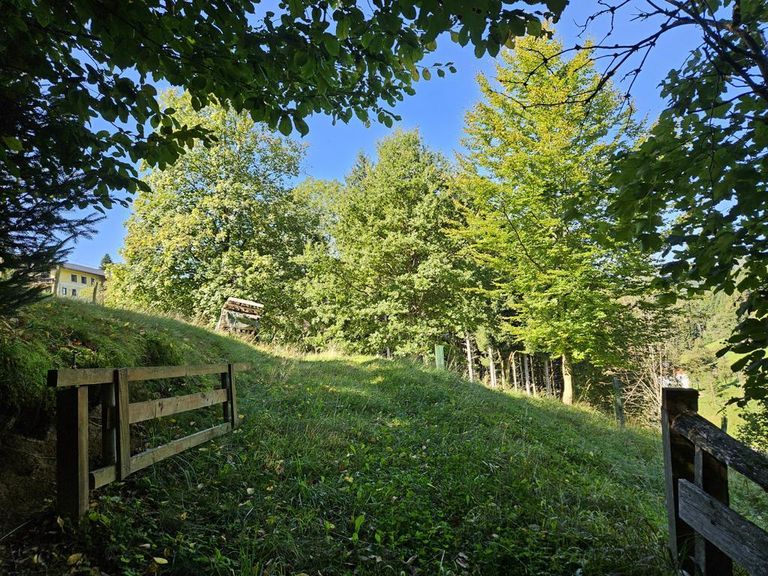 K1024_20250919_115219